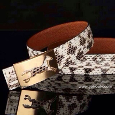 新款Hermes 愛馬仕 國際大牌高端頂級奢侈品 南非進口蟒蛇皮男士皮帶 土豪專用腰帶 HP0304