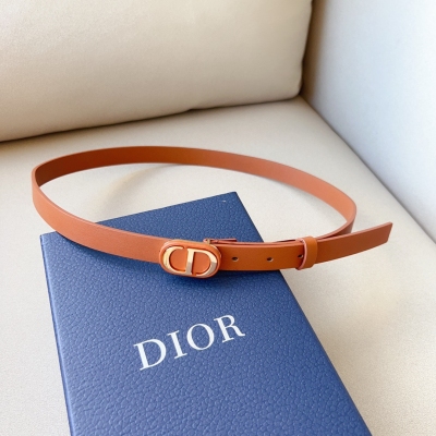 Dior迪奧 貼皮扣金色 內側飾以 christian Dior PARIS*標誌 富有光澤的金色飾面金屬細節、皮帶2.0cm精品